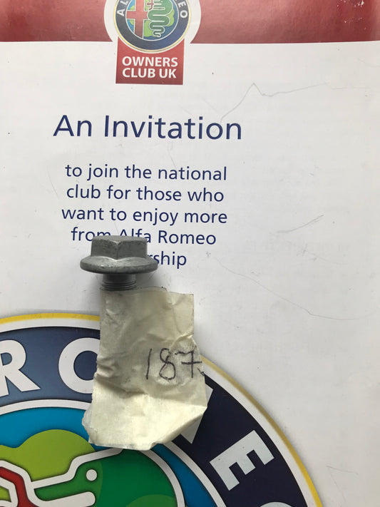 Screw - rear door - 18754324 - 159 Brera Spider 4C MiTo Giulietta