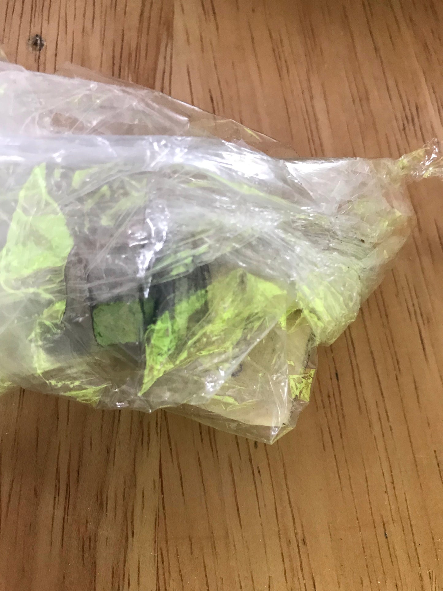 Suspension bolt - 60657168 - 147 GT 156