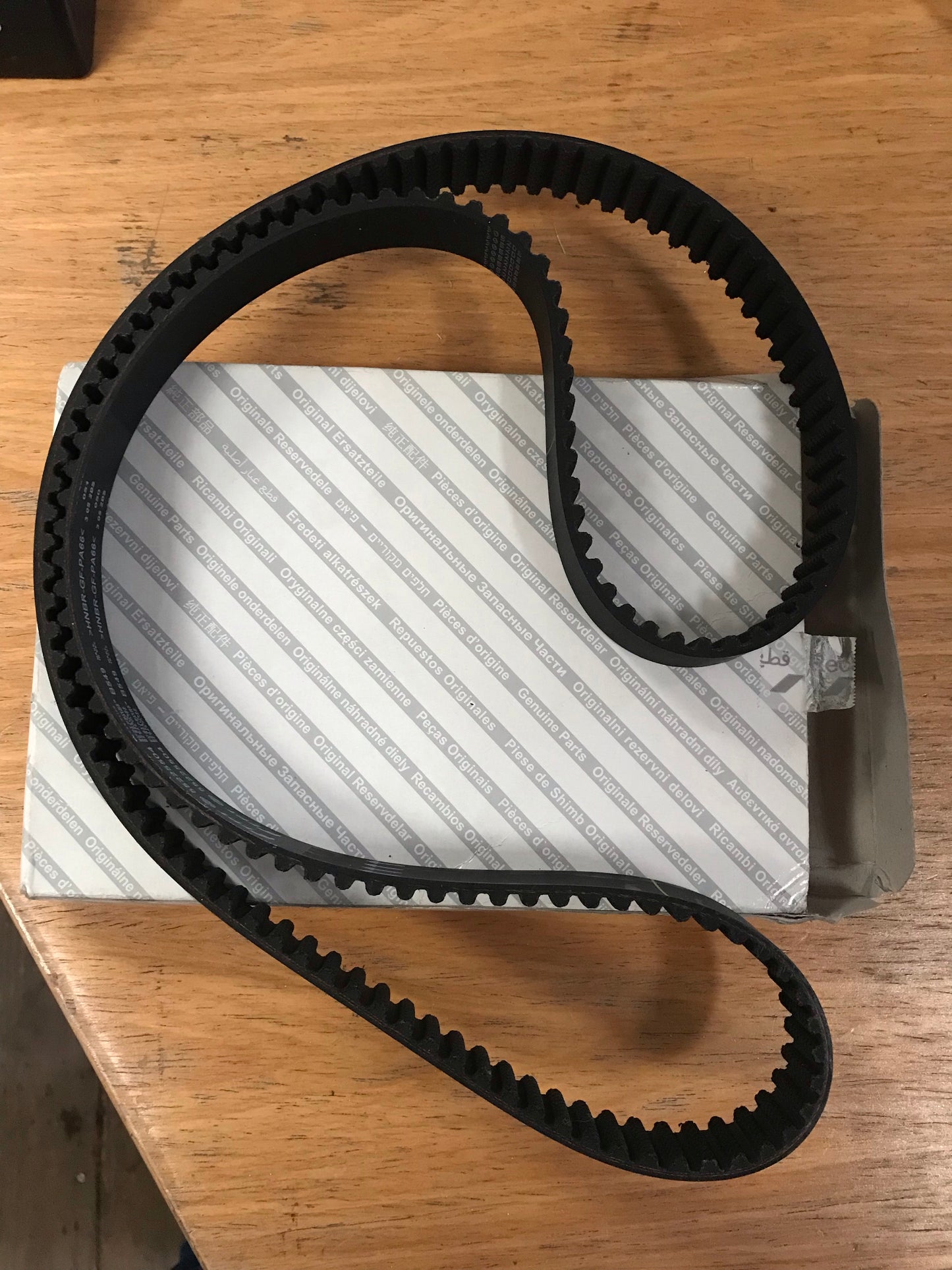 Timing belt - 55225504 - 147 156 1.6