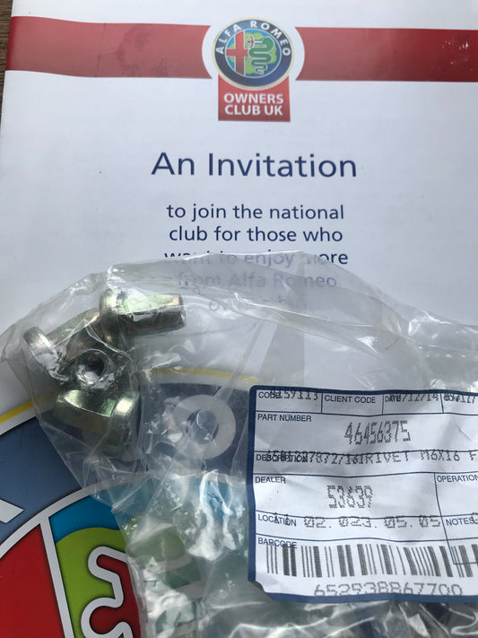 Rivet - front door - 46456375 - 147 156 *pack of four*