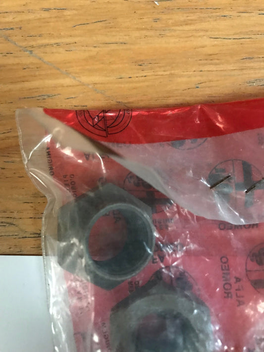 Rear wheel brake nut - 33 - 60501948 (price is for one)